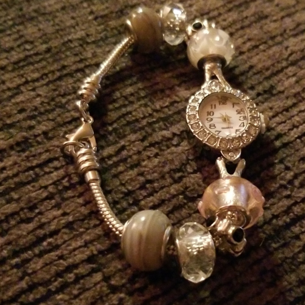 ☆European Charm Watch☆
